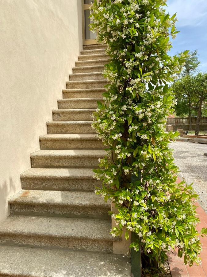 Apartamento Podere Il Ritorno
