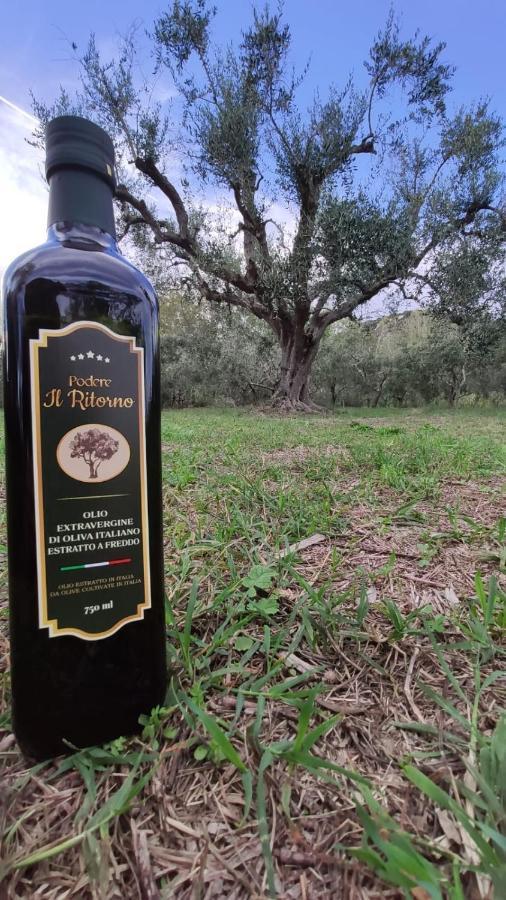 Podere Il Ritorno *