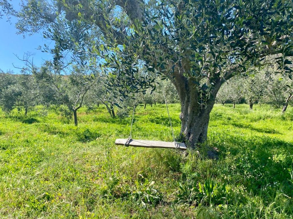 Podere Il Ritorno Apartment Portoferraio