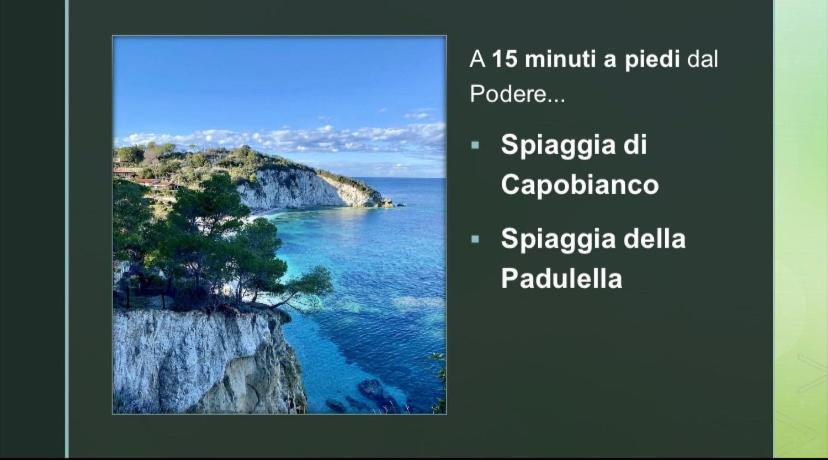 Apartamento Podere Il Ritorno