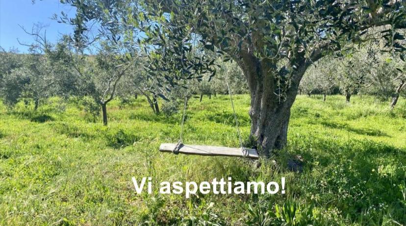 Podere Il Ritorno