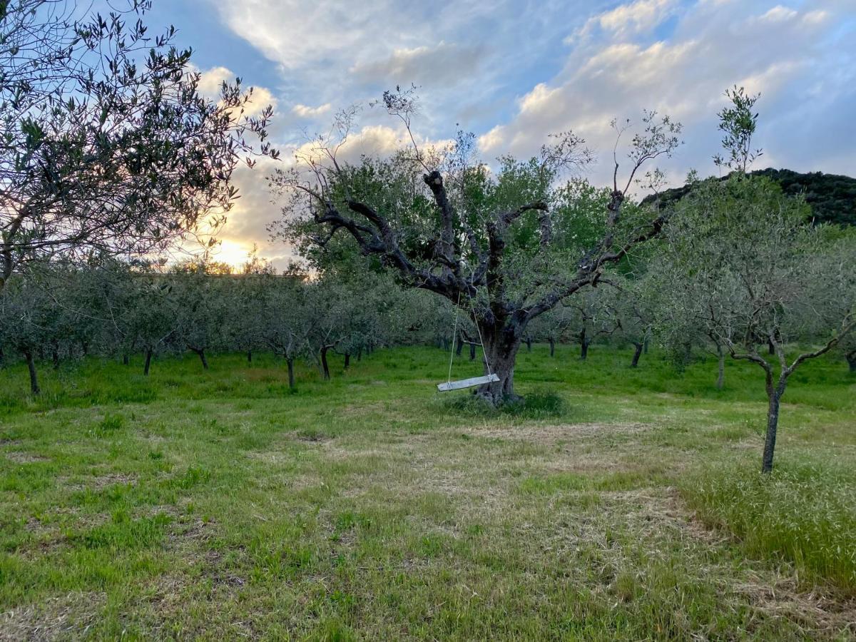 Podere Il Ritorno Apartment