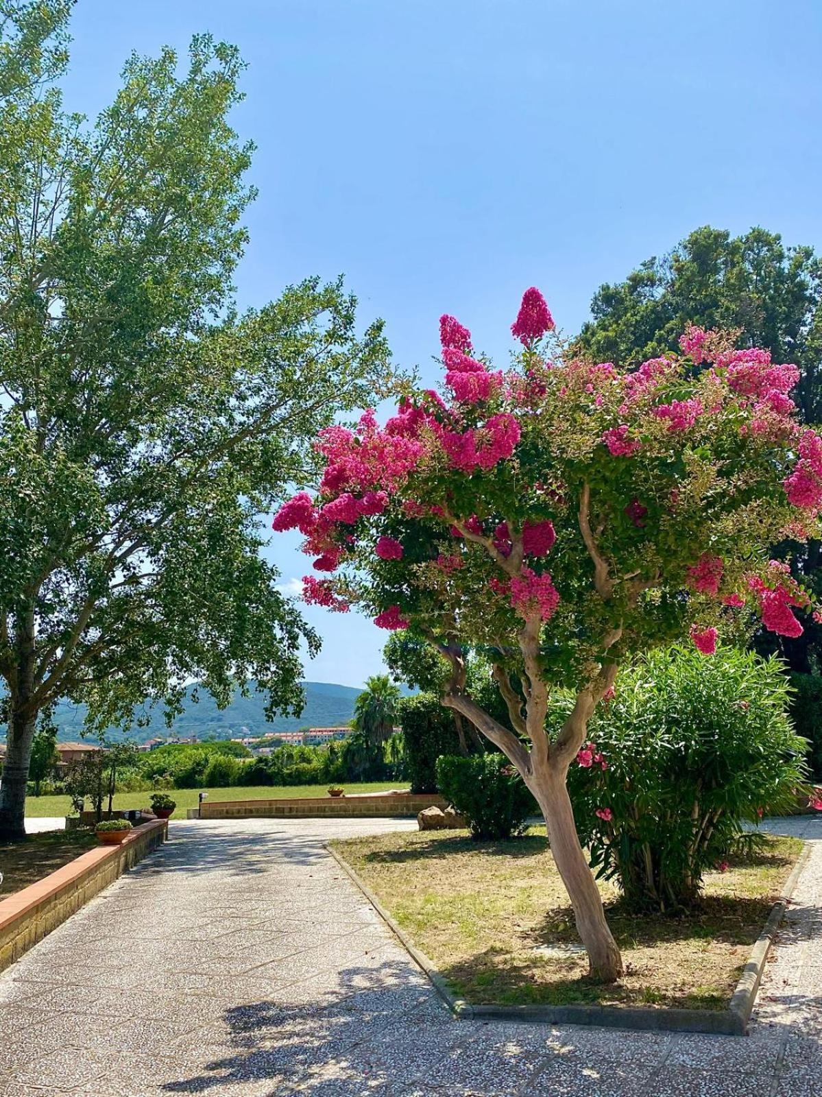 Apartment Podere Il Ritorno Portoferraio